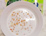簡単ヘルシー　大豆のミルキークリーム作り方2写真