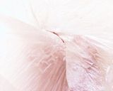 こってり美味しい♡豚キムチのトロッと茄子作り方4写真