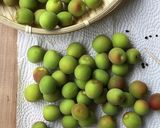 梅講師直伝⑨ 小梅のカリカリ漬け／袋漬け作り方9写真