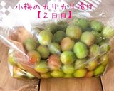 梅講師直伝⑨ 小梅のカリカリ漬け／袋漬け作り方15写真