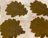 5月和菓子♪蓬柏餅!餡に拘って作り方2写真