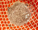 ちくわのゆかり揚げ(揚げ焼き)作り方3写真
