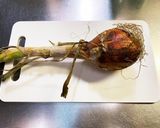 美味しい新玉ねぎ作り方1写真