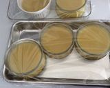 オーツ ミルク作り方11写真