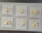 キムチとチーズの揚げワンタン♪作り方1写真