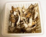 レンジで酒蒸し☆舞茸のおろしポン酢作り方3写真
