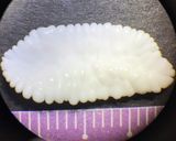 鱈バーグ・クリーム煮作り方8写真