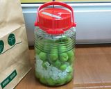 自家製 梅シロップ作り方6写真