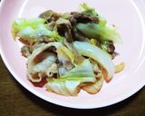 豚肉とキャベツと新玉ねぎのあまから炒め♪作り方22写真