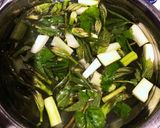 ウドの塩麹漬け〜塩昆布和え!作り方3写真