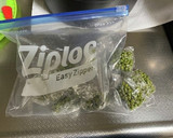 山椒の実 山椒 下処理 保存方法作り方6写真