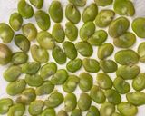 簡単　絶品おつまみ✨今が旬　ドライそら豆作り方3写真