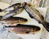 岩魚・山女の塩焼き（オーブン使用）作り方1写真