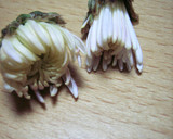 優雅に・・・菊とほうれん草の和えもの作り方1写真