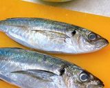 鯵のなめろう(骨せんべい)作り方2写真