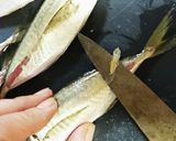 小アジの処理(南蛮漬け用)作り方4写真