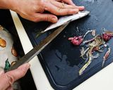 小アジの処理(南蛮漬け用)作り方9写真