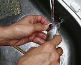 小アジの処理(南蛮漬け用)作り方15写真
