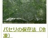 パセリの保存法（冷凍）作り方20写真