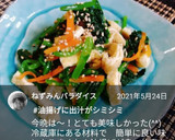 作り置きに白だし風味の彩り和え作り方9写真