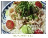 冷しゃぶサラダうどん作り方12写真