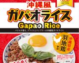 ガパオのさわやかレモンの春巻き作り方1写真