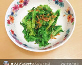 わさび菜と干しえびの塩炒め☆仕上げごま油作り方8写真