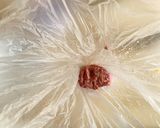 ワッパー風うま辛ホットサンド★手作りパテ作り方8写真