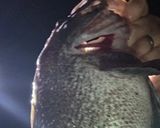 ソイの顔面汁作り方1写真