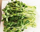 豆苗豚肉巻き☆ホットナッツの旨辛ソースで作り方1写真