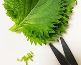 薬味シリーズ保存メモ(大葉)作り方1写真