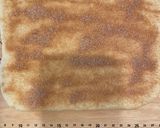 かたつむりのシナモンロールパン作り方11写真