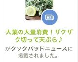 大葉の大量消費！ザクザク切って天ぷら♪作り方11写真