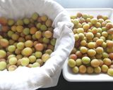 ★2021年★自家製梅ジュース★作り方5写真