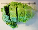 15分で！レタスと豚バラの中華炒め作り方3写真