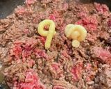 ひき肉たっぷり！ごま油で香り高い麻婆茄子作り方9写真