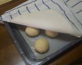 アップルカスタードパン（自家製酵母使用）作り方9写真