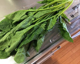 茹でない！ほうれん草となめ茸の生姜和え作り方3写真