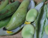 ベルベット布団から出たそら豆をご飯に作り方2写真