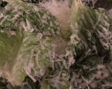 Best シーザーサラダ２０２１作り方3写真