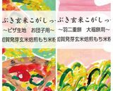 クッキーアイス（牛乳・小麦・玉子無）作り方15写真
