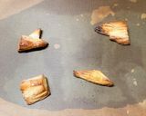 【余り物消費】発酵種パイ作り方37写真