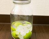 青梅でいろいろ①ジンで作るちょこっと梅酒作り方4写真