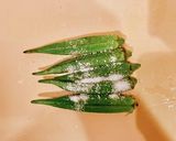 アレンジ冷奴-梅肉オクラみょうがのせ-作り方2写真