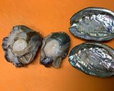 自宅で小料理屋の味？アワビの柔らか煮♬作り方3写真