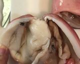タコ頭の辛子マヨあえ作り方4写真
