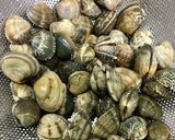 ボンゴレビアンコ☆和風バター醤油作り方1写真