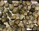 ボンゴレビアンコ☆和風バター醤油作り方2写真