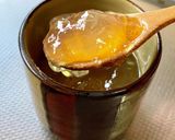 ポイント盛り沢山 レモンピールの作り方作り方19写真