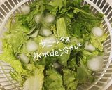 チョレギサラダ作り方1写真